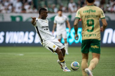 Sao Paulo (SP), Brezilya 09 / 15 / 2024 - Brezilya Futbol Şampiyonası 'nın 26' ncı turu için geçerli olan Palmeiras ile Criciuma arasındaki maç, 15 Eylül 2024 Pazar günü Allianz Parque 'da oynanacak.