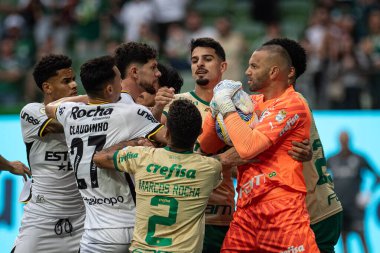 Sao Paulo (SP), Brezilya 09 / 15 / 2024 - Brezilya Futbol Şampiyonası 'nın 26' ncı turu için geçerli olan Palmeiras ile Criciuma arasındaki maç, 15 Eylül 2024 Pazar günü Allianz Parque 'da oynanacak.