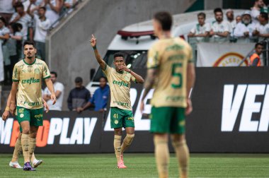 Sao Paulo (SP), Brezilya 09 / 15 / 2024 - Estevao, Brezilya Futbol Şampiyonası 'nın 26. turu için geçerli olan Palmeiras ve Criciuma arasındaki maçtaki golünü kutluyor