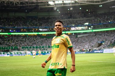 Sao Paulo (SP), Brazil 09/15/2024 - Estevao celebrates his goal in the match between Palmeiras and Criciuma, valid for the 26th round of the Brazilian Football Championship clipart