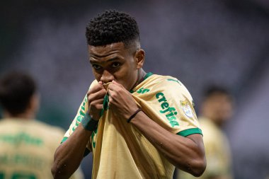 Sao Paulo (SP), Brezilya 09 / 15 / 2024 - Estevao, Brezilya Futbol Şampiyonası 'nın 26. turu için geçerli olan Palmeiras ve Criciuma arasındaki maçtaki golünü kutluyor