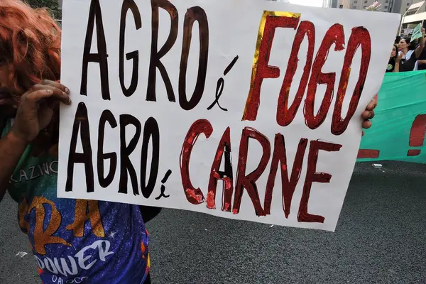 Sao Paulo (SP), 09 / 22 / 2024 - Greenpeace ve diğer örgütler tarafından Pazar öğleden sonra Avenida Paulista 'da düzenlenen İklim Adaleti Yürüyüşüne çok sayıda siyasi ve çevresel grup katıldı. (Fotoğraf: Leandro Chemalle / The Newws2)