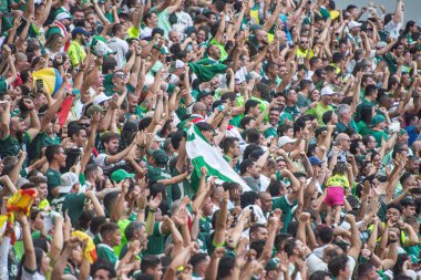 Brasilia (DF), Brezilya 09 / 22 / 2024 - Brezilya Futbol Şampiyonası 'nın 27. turu için geçerli olan Vasco ve Palmeiras arasındaki maç sırasında taraftarlar