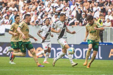 Brasilia (DF), Brezilya 09 / 22 / 2024 - Brezilya Futbol Şampiyonası 'nın 27. turu için geçerli olan Vasco ile Palmeiras arasındaki maç sırasında 22 Eylül 2024 Pazar günü öğleden sonra çekilmiştir.