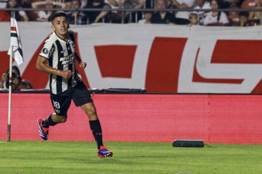 SAO PAULO (SP), Brezilya 09 / 25 / 2024 - Botafogo 'dan Thiago Almada gol atıyor ve Copa Libertadores' in çeyrek finalinin ikinci ayağı için geçerli olan Sao Paulo ve Botafogo arasındaki maçtaki golünü kutluyor (Leco Viana / Thenews2)
