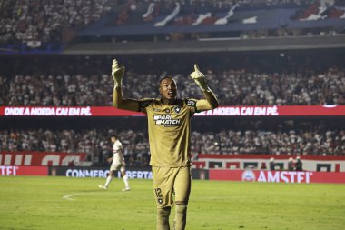 SAO PAULO (SP), Brezilya 09 / 25 / 2024 - Botafogo, Copa Libertadores da America (Leco Viana / Thenews2) çeyrek finalinin ikinci ayağı için geçerli olan Sao Paulo ve Botafogo arasında oynanan maçta penaltıları kazandı ve kutladı.)