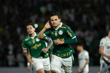 Sao Paulo (SP), Brezilya 09 / 28 / 2024 - Raphael Veiga, Brezilya Futbol Şampiyonası 'nın 28. turu (ronaldo barreto / thews2) için geçerli olan Palmeiras ve Atletico-MG arasındaki maçtaki golünü kutluyor)