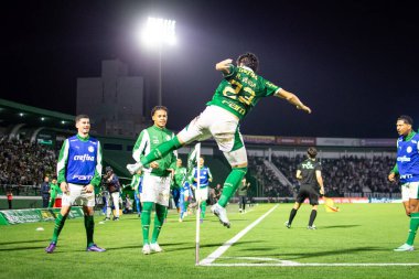 Sao Paulo (SP), Brezilya 09 / 28 / 2024 - Raphael Veiga, Brezilya Futbol Şampiyonası 'nın 28. turu (ronaldo barreto / thews2) için geçerli olan Palmeiras ve Atletico-MG arasındaki maçtaki golünü kutluyor)