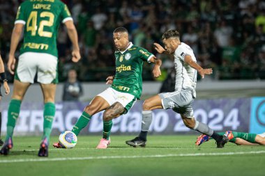 Sao Paulo (SP), Brezilya 09 / 28 / 2024 - Palmeiras ile Atletico-MG arasındaki maç, Brezilya Futbol Şampiyonası 'nın 28. turu (ronaldo barreto / theenews2)
