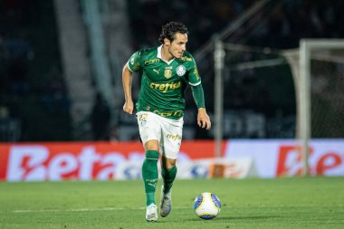 Sao Paulo (SP), Brezilya 09 / 28 / 2024 - Palmeiras ve Atletico-MG arasında oynanan karşılaşmada Brezilya Futbol Şampiyonası (ronaldo barreto / theenews2)