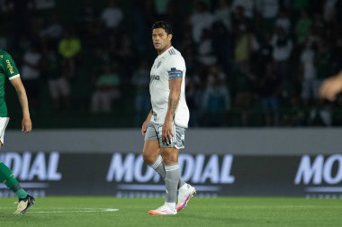 Sao Paulo (SP), Brezilya 09 / 28 / 2024 - Hulk, Palmeiras ve Atletico-MG arasında oynanan ve Brezilya Futbol Şampiyonası 'nın 28. turu (ronaldo barreto / thenews2)