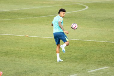 Sao Paulo (SP), 10 / 08 / 2024 - İgor Jesus - Brezilya Milli Futbol Takımı ile CT Palmeiras, Barra Funda, Sao Paulo-SP 'de antrenman yapıyor, 8 Ekim 2024 Salı günü öğleden sonra. (leco viana / the newws2)