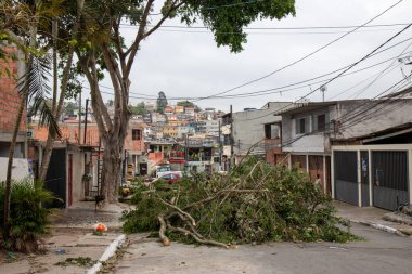 SAO PAULO, (SP), Brezilya 10 / 14 / 2024 - Sao Paulo 'nun güneyindeki Jardim Maria Virginia bölgesini vuran yağmur ve şiddetli rüzgarların yol açtığı diğer hasarlar ve ağaçların görüntüsü. (Fabricio bomjardim / the new ws2)