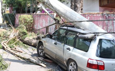 Cotia (SP), Brezilya 10 / 15 / 2024 - Cotia kentindeki Jardim da Gloria mahallesi hala elektriksiz, 11 Cuma (leco viana / theenews2) günü bu yağmurda pek çok ağaç, direk ve sokak kapalı durumda)