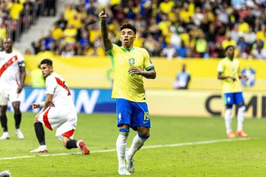 Brasilia (DF), Brazil 10/15/2024 - Brazilian player Igor Jesus during the match between Brazil and Peru, valid for the 10th round of the 2026 World Cup Qualifiers at Arena BRB Mane Garrincha (pedro paulo diaz / thenews2) clipart