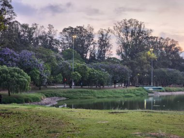 SAO PAULO (SP), Brezilya 10 / 17 / 2024 - Sao Paulo eyaleti bir kez daha yağmur ve güçlü rüzgarlar için alarma geçti, fırtınadan bir hafta sonra ağaçlar, kutuplar devrildi ve şehrin nüfusuna büyük zarar verdi (leco viana / thews2)
