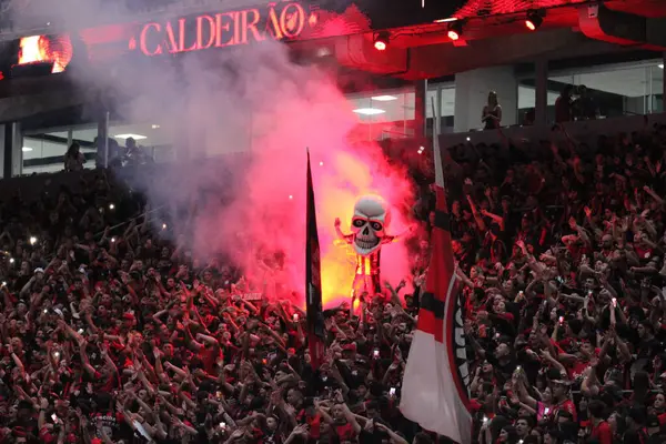 Curitiba (pr), Brazil 11 / 02 / 2024 taraftar maç sırasında atletizo ve vitoria arasında, Brezilya serisinin 32. raundunda ligga arenasında şampiyonluk için geçerlidir (Edson De Souza / Thenews2)