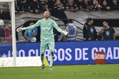 Sao paulo (sp), 11/04/2024 - brazilian/corinthians vs palmeiras  palmeiras player weverton in a match between corinthians and palmeiras, valid for the 32nd round of the 2024 brazilian football championship (leco viana / thenews2) clipart