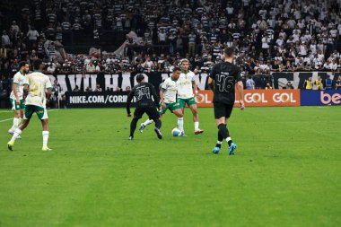 Sao Paulo (sp), 11 / 04 / 2024 - Brezilya / Corinthians vs palmeiras - bu pazartesi gecesi (ronaldo barreto / thews2) 2024 Brezilya futbol şampiyonasının 32. turu için geçerli olan Corinthians ve palmeiras arasındaki maç)