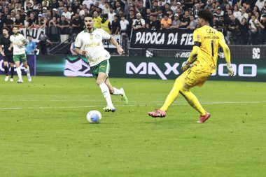 Sao Paulo (sp), 11 / 04 / 2024 - Brezilya / Corinthians vs palmeiras - bu pazartesi gecesi (ronaldo barreto / thews2) 2024 Brezilya futbol şampiyonasının 32. turu için geçerli olan Corinthians ve palmeiras arasındaki maç)