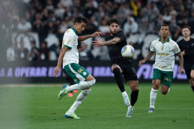 Sao Paulo (sp), 11 / 04 / 2024 - Brezilya / Corinthians vs palmeiras - bu pazartesi gecesi (ronaldo barreto / thews2) 2024 Brezilya futbol şampiyonasının 32. turu için geçerli olan Corinthians ve palmeiras arasındaki maç)