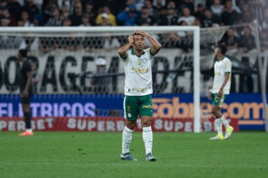 Sao Paulo (sp), 11 / 04 / 2024 - Brezilya / Corinthians vs palmeiras - Marcos rocha laments in the game between corinthians and palmeiras, Geçerli 32. tur Brezilya futbol şampiyonası (ronaldo barreto / thenews2)