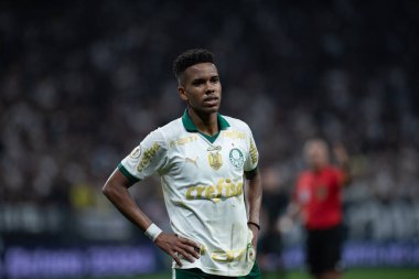 Sao Paulo (sp), 11 / 04 / 2024 - Brezilya / Corinthians vs palmeiras - 2024 Brezilya futbol şampiyonasının 32. turu (ronaldo barreto / thews2)