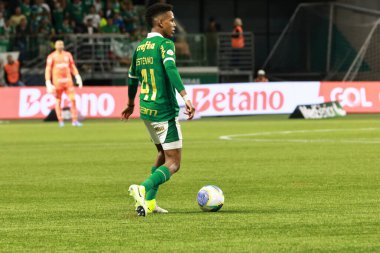 Sao Paulo (sp), 11 / 08 / 2024 - Brezilya / Palmeiras vs gremio - Palmeiras oyuncusu Estevao Palmeiras ve Gremio arasındaki maç sırasında, 2024 Brezilya Futbol Şampiyonası 'nın 33. turu için geçerlidir (leco viana / thews2)
