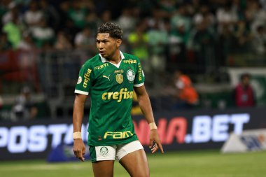 Sao Paulo (sp), 11 / 08 / 2024 - Brezilya / Palmeiras vs gremio - Palmeiras oyuncusu Rony Palmeiras ve Gremio arasındaki maç sırasında, 2024 Brezilya Futbol Şampiyonası 'nın 33. turu için geçerlidir (leco viana / thenews2)
