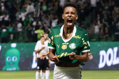 Sao Paulo (sp), 11 / 08 / 2024 - Brezilya / Palmeiras vs gremio - Palmeiras oyuncusu estevao 2024 Brezilya Şampiyonası 'nın 33. turu (leco viana / thenews2) için geçerli olan Palmeiras ve gremio arasındaki maçta golünü atıyor ve kutluyor.)