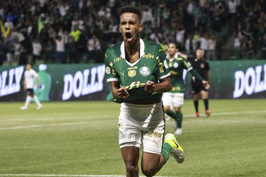 Sao Paulo (sp), 11 / 08 / 2024 - Brezilya / Palmeiras vs gremio - Palmeiras oyuncusu estevao 2024 Brezilya Şampiyonası 'nın 33. turu (leco viana / thenews2) için geçerli olan Palmeiras ve gremio arasındaki maçta golünü atıyor ve kutluyor.)