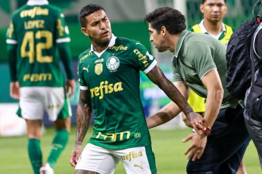 Sao Paulo (sp), 11 / 08 / 2024 - brasileiro / palmeiras vs gremio palmeiras Coach Abel Ferreira ve Dudu, Palmeiras ve Gremio arasında oynanan maçın sonunda, 2024 Brezilya 'nın 33. turu (leco viana / thenews2) 
