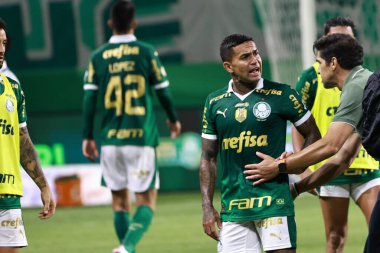 Sao Paulo (sp), 11 / 08 / 2024 - brasileiro / palmeiras vs gremio palmeiras Coach Abel Ferreira ve Dudu, Palmeiras ve Gremio arasında oynanan maçın sonunda, 2024 Brezilya 'nın 33. turu (leco viana / thenews2) 