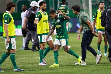 Sao Paulo (sp), 11 / 08 / 2024 - brasileiro / palmeiras vs gremio palmeiras Coach Abel Ferreira ve Dudu, Palmeiras ve Gremio arasında oynanan maçın sonunda, 2024 Brezilya 'nın 33. turu (leco viana / thenews2) 