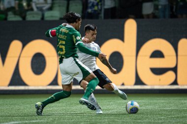 Sao Paulo (sp), 11 / 08 / 2024 - brasileiro / palmeiras vs gremio - 2024 Brezilya futbol şampiyonasının 33. turu için geçerli olan Palmeiras ve Gremio arasındaki maç, bu cuma gecesi, 8 Kasım 2024 (ronaldo barreto / thews2))
