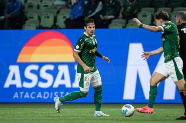 Sao Paulo (sp), 11 / 08 / 2024 - brasileiro / palmeiras vs gremio - 2024 Brezilya futbol şampiyonasının 33. turu için geçerli olan Palmeiras ve Gremio arasındaki maç, bu cuma gecesi, 8 Kasım 2024 (ronaldo barreto / thews2))