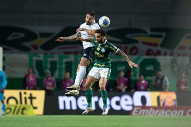 Sao Paulo (sp), 11 / 08 / 2024 - brasileiro / palmeiras vs gremio - 2024 Brezilya futbol şampiyonasının 33. turu için geçerli olan Palmeiras ve Gremio arasındaki maç, bu cuma gecesi, 8 Kasım 2024 (ronaldo barreto / thews2))