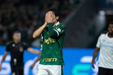 Sao Paulo (sp), 11 / 08 / 2024 - brasileiro / palmeiras vs gremio - 2024 Brezilya futbol şampiyonasının 33. turu için geçerli olan Palmeiras ve Gremio arasındaki maç, bu cuma gecesi, 8 Kasım 2024 (ronaldo barreto / thews2))