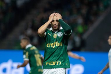 Sao Paulo (sp), 11 / 08 / 2024 - brasileiro / palmeiras vs gremio - 2024 Brezilya futbol şampiyonasının 33. turu için geçerli olan Palmeiras ve Gremio arasındaki maç, bu cuma gecesi, 8 Kasım 2024 (ronaldo barreto / thews2))