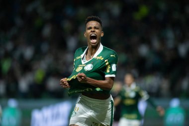 Sao Paulo (sp), 11 / 08 / 2024 - Brezilya / Palmeiras vs gremio - estevao, 2024 Brezilya futbol şampiyonasının 33. turu (ronaldo barreto / theenews2)
