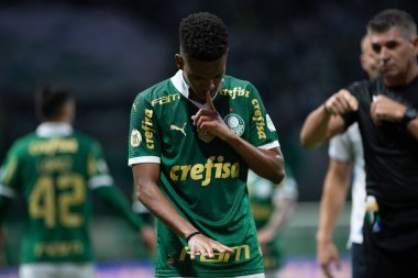 Sao Paulo (sp), 11 / 08 / 2024 - Brezilya / Palmeiras vs gremio - estevao, 2024 Brezilya futbol şampiyonasının 33. turu (ronaldo barreto / theenews2)