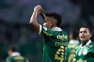 Sao Paulo (sp), 11 / 08 / 2024 - Brezilya / Palmeiras vs gremio - estevao, 2024 Brezilya futbol şampiyonasının 33. turu (ronaldo barreto / theenews2)