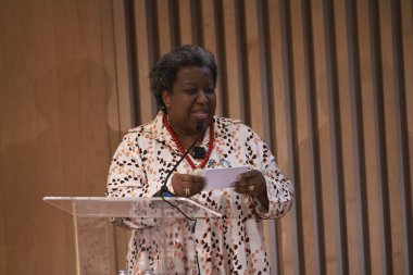 Rio de Janeiro (rj), Brezilya 11 / 15 / 2024 macae evaristo insan hakları ve yurttaşlık bakanı, Ods 18 ve Broşür Ajandası 2030 