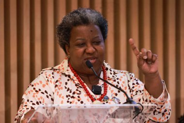 Rio de Janeiro (rj), Brezilya 11 / 15 / 2024 macae evaristo insan hakları ve yurttaşlık bakanı, Ods 18 ve Broşür Ajandası 2030 