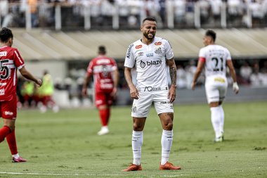 Santos (sp), 11 / 17 / 2024 - futbol / santos / crb / sp - Santos ile crb / sp arasındaki maç, Santos şehrinde 17 Kasım 2024 tarihinde düzenlenen 2024 Brezilya şampiyonası için geçerlidir. (pedro paulo diaz / the new ws2)