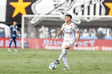 Santos (sp), 11 / 17 / 2024 - futbol / santos / crb / sp - Santos ile crb / sp arasındaki maç, Santos şehrinde 17 Kasım 2024 tarihinde düzenlenen 2024 Brezilya şampiyonası için geçerlidir. (pedro paulo diaz / the new ws2)