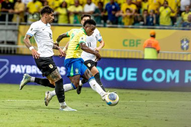 Salvador (ba), 11 / 19 / 2024 qualifiers / brrazil / uruguay / ba vinicius jr in the match of brezille ve uruguay arasında oynanan karşılaşma sırasında, Salvador şehrinde düzenlenen 2026 Dünya Kupası elemelerinin 12. turu için geçerlidir. (pedro paulo diaz\ yeni2)