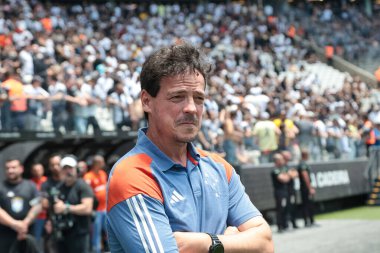 Sao paulo (sp), 11/20/2024 - fernando diniz, cruzeiro coach, in the match between corinthians and cruzeiro for the 34th round of the 2024 brazilian championship, series a, at neo Quimica Arena. (tomze fonseca\thenews2)  clipart