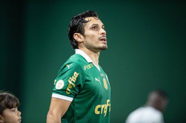 Sao Paulo (sp), Brazil 11 / 26 / 2024 - Palmeiras ve botafogo arasındaki maçta raphael veiga, 2024 Brezilya futbol şampiyonasının 36. turu (ronaldo barreto / theenews2)