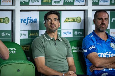 Sao Paulo (sp), Brezilya 11 / 26 / 2024 - Palmeiras ve botafogo arasındaki maçta koç Abel Ferreira, 2024 Brezilya Futbol Şampiyonası 'nın 36. turu (ronaldo barreto / theenews2)